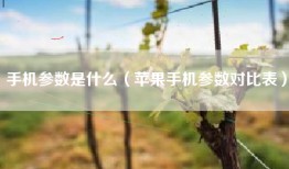 手机参数是什么（苹果手机参数对比表）