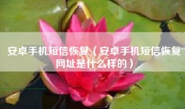 安卓手机短信恢复（安卓手机短信恢复网址是什么样的）