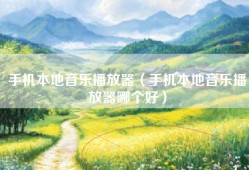 手机本地音乐播放器（手机本地音乐播放器哪个好）