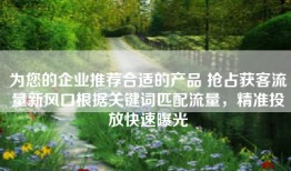 为您的企业推荐合适的产品 抢占获客流量新风口根据关键词匹配流量，精准投放快速曝光