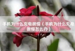 手机为什么充电很慢（手机为什么充电很慢怎么办）