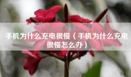 手机为什么充电很慢（手机为什么充电很慢怎么办）