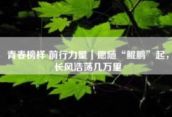 青春榜样 前行力量｜愿随“鲲鹏”起，长风浩荡几万里