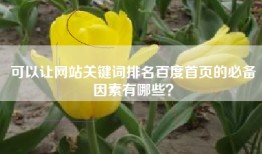 可以让网站关键词排名百度首页的必备因素有哪些？