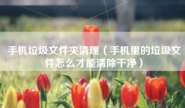 手机垃圾文件夹清理（手机里的垃圾文件怎么才能清除干净）