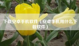下载安卓手机软件（安卓手机用什么下载软件）