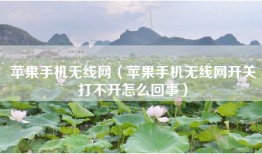 苹果手机无线网（苹果手机无线网开关打不开怎么回事）