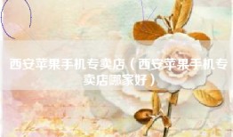 西安苹果手机专卖店（西安苹果手机专卖店哪家好）