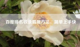 百度排名收录霸屏方法，简单上手快