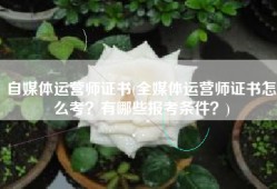 自媒体运营师证书(全媒体运营师证书怎么考？有哪些报考条件？)