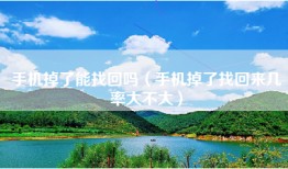 手机掉了能找回吗（手机掉了找回来几率大不大）