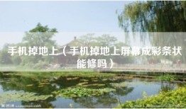 手机掉地上（手机掉地上屏幕成彩条状能修吗）