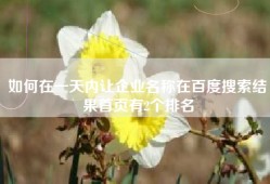 如何在一天内让企业名称在百度搜索结果首页有2个排名