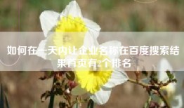 如何在一天内让企业名称在百度搜索结果首页有2个排名