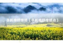 手机维修维修（手机维修维修点）