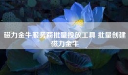 磁力金牛服务商批量投放工具 批量创建磁力金牛