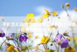 手机怎么设置定时微博（手机怎么设置定时微博自动关闭）
