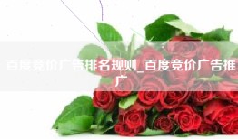 百度竞价广告排名规则_百度竞价广告推广