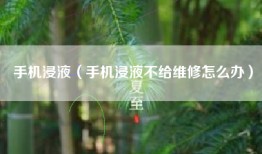 手机浸液（手机浸液不给维修怎么办）