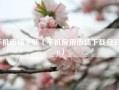 手机市场下载（手机应用市场下载安装app）