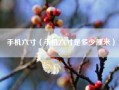 手机六寸（手机六寸是多少厘米）