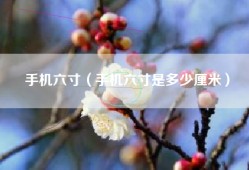 手机六寸（手机六寸是多少厘米）