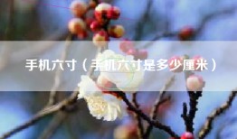 手机六寸（手机六寸是多少厘米）