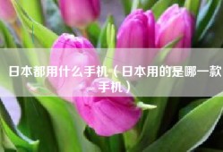 日本都用什么手机（日本用的是哪一款手机）