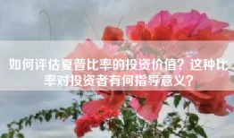 如何评估夏普比率的投资价值？这种比率对投资者有何指导意义？