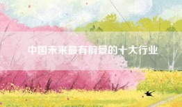 中国未来最有前景的十大行业