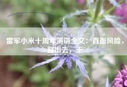 雷军小米十周年演讲全文：直面风险，豁出去，干