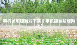 手机破解版游戏下载（手机版破解版游戏）