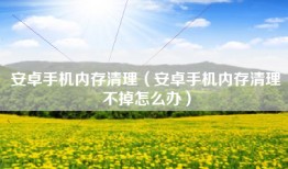 安卓手机内存清理（安卓手机内存清理不掉怎么办）