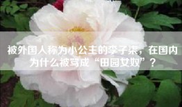 被外国人称为小公主的李子柒，在国内为什么被骂成“田园女奴”？