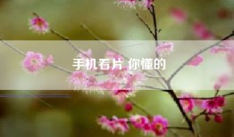 手机看片 你懂的