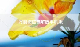 万能微信破解器手机版