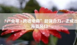 “产业带+跨境电商”超强合力，正成出海新风口