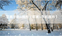 苹果手机4s图片（苹果4s手机图片）