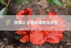 地图上注册店铺地址定位