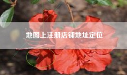 地图上注册店铺地址定位