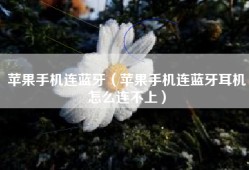苹果手机连蓝牙（苹果手机连蓝牙耳机怎么连不上）