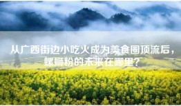 从广西街边小吃火成为美食圈顶流后，螺蛳粉的未来在哪里？