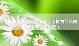 手机网页为什么打不开（手机为什么网页打不开了怎么办）