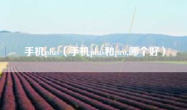 手机plus（手机plus和pro,哪个好）