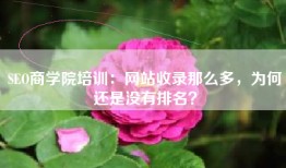 SEO商学院培训：网站收录那么多，为何还是没有排名？