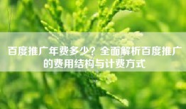 百度推广年费多少？全面解析百度推广的费用结构与计费方式