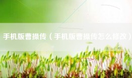 手机版曹操传（手机版曹操传怎么修改）