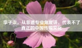 李子柒，从非遗专业角度讲，代表不了真正的中国传统文化