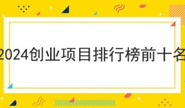 2024创业项目排行榜前十名（外卖软件app）