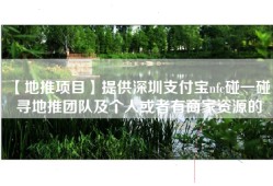 【地推项目】提供深圳支付宝nfc碰一碰，寻地推团队及个人或者有商家资源的